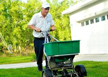 fertilizing lawn