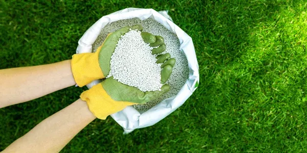 lawn care fertilizer image